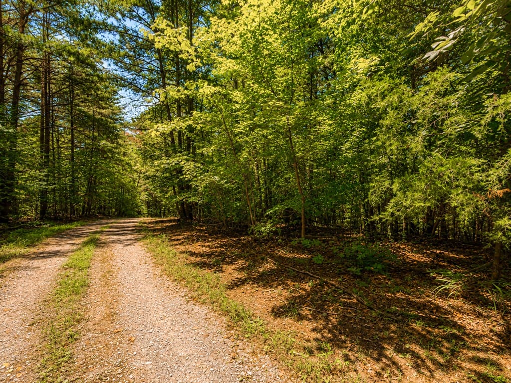 1652 Sable Court, Talking Rock GA 30175 - Photo