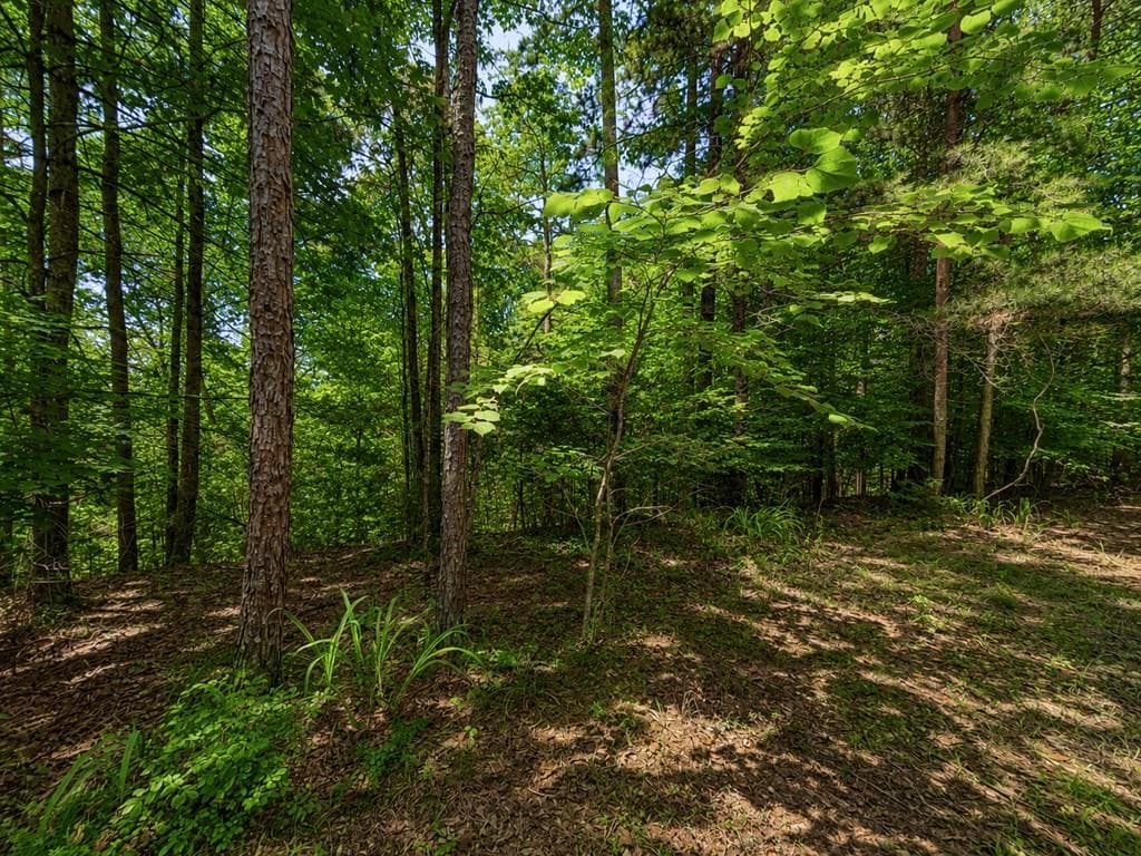 1652 Sable Court, Talking Rock GA 30175 - Primary photo