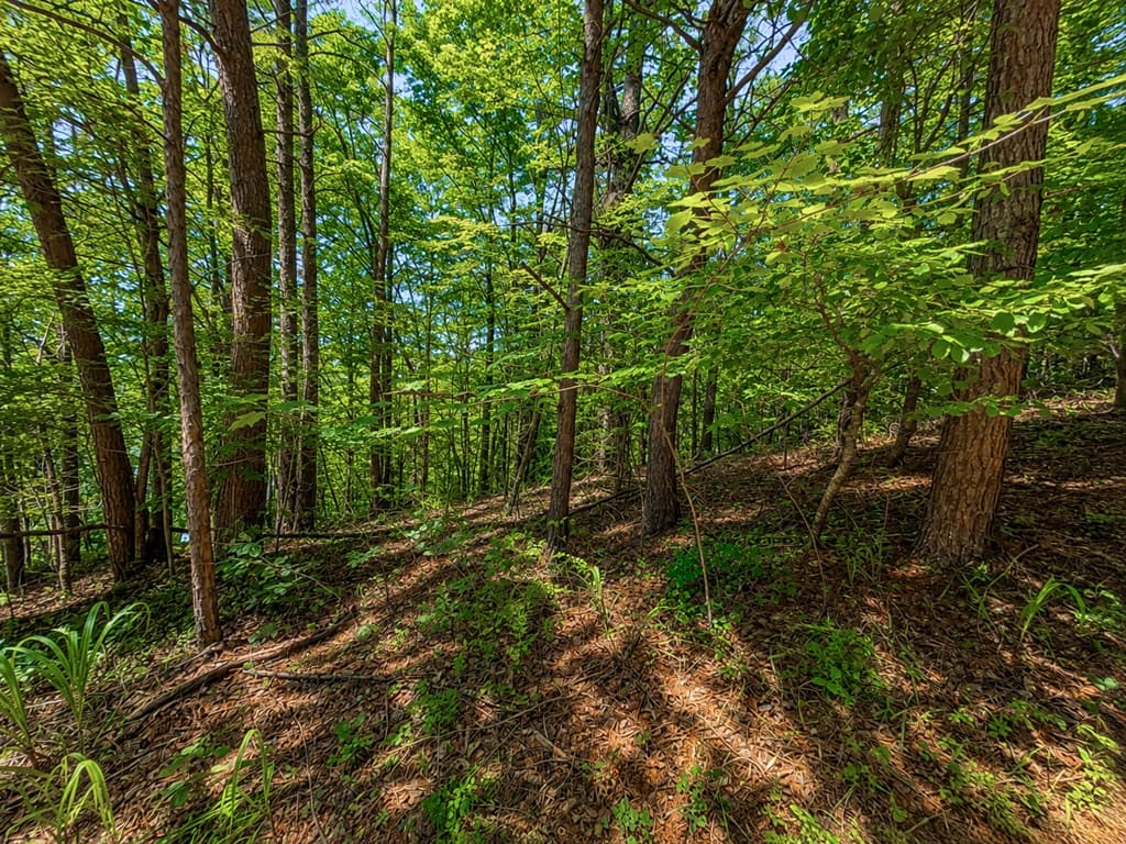 1652 Sable Court, Talking Rock GA 30175 - Photo
