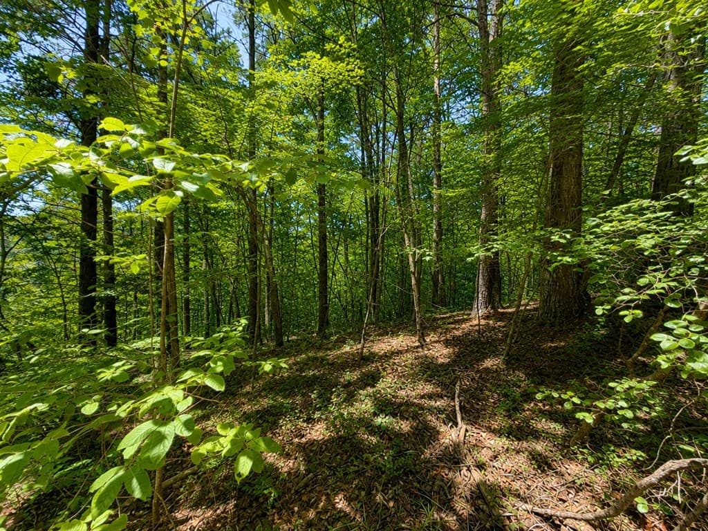 1652 Sable Court, Talking Rock GA 30175 - Photo