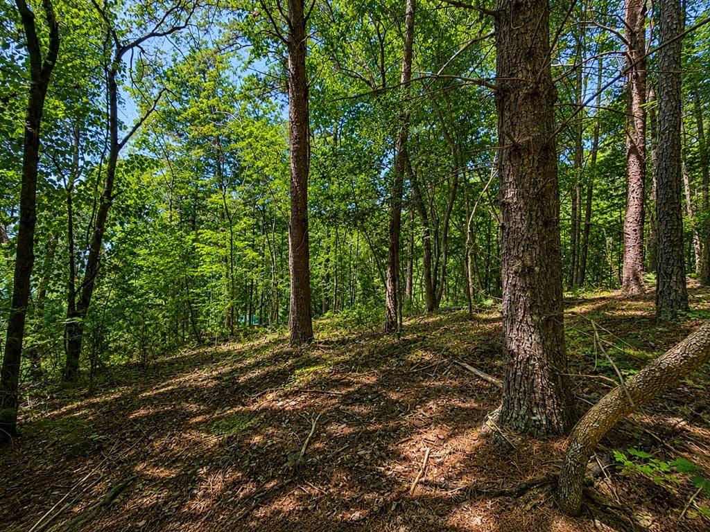 1652 Sable Court, Talking Rock GA 30175 - Photo