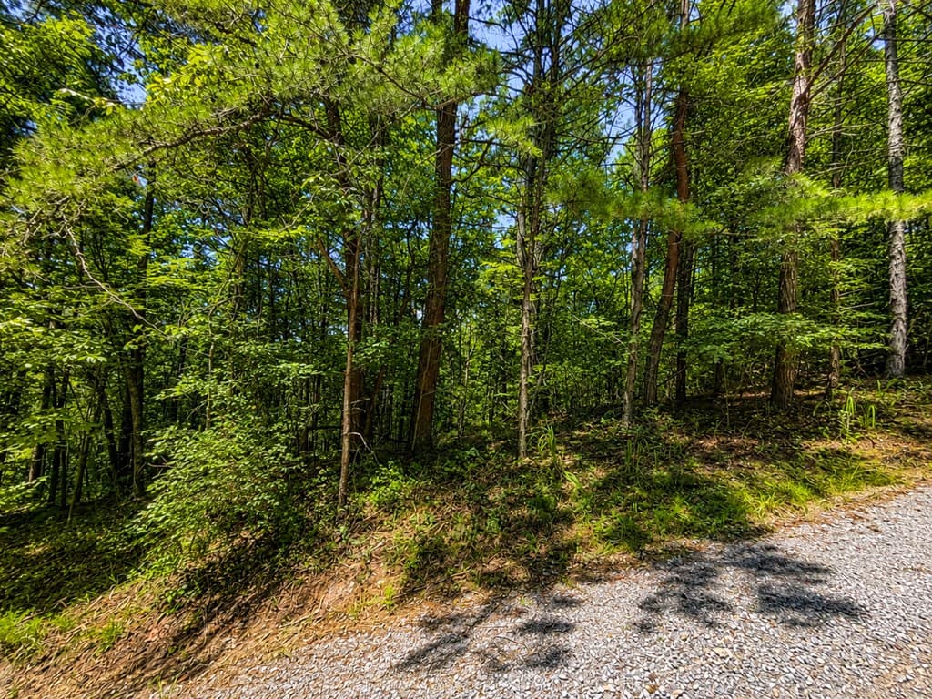 1652 Sable Court, Talking Rock GA 30175 - Photo