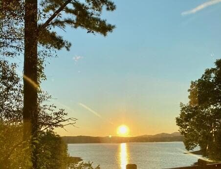 209 Marina Drive, Blue Ridge GA 30514 - Photo