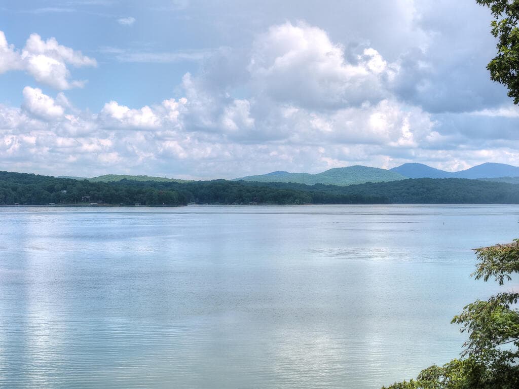 209 Marina Drive, Blue Ridge GA 30514 - Photo