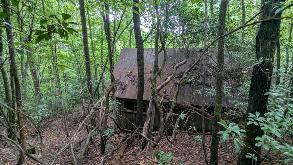 N/A Roy Road, Ellijay GA 30536 - Photo