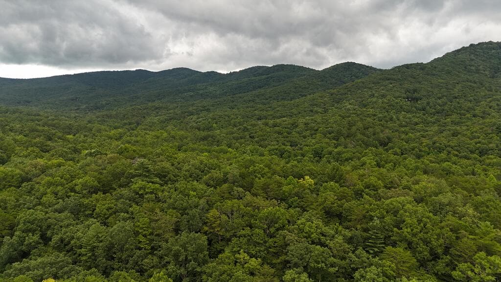N/A Roy Road, Ellijay GA 30536 - Photo