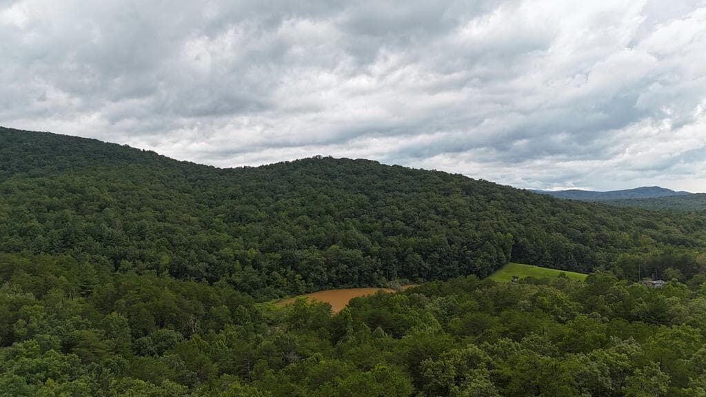 N/A Roy Road, Ellijay GA 30536 - Photo