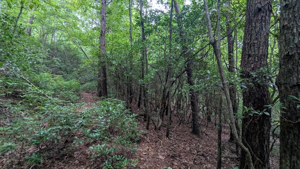 N/A Roy Road, Ellijay GA 30536 - Photo