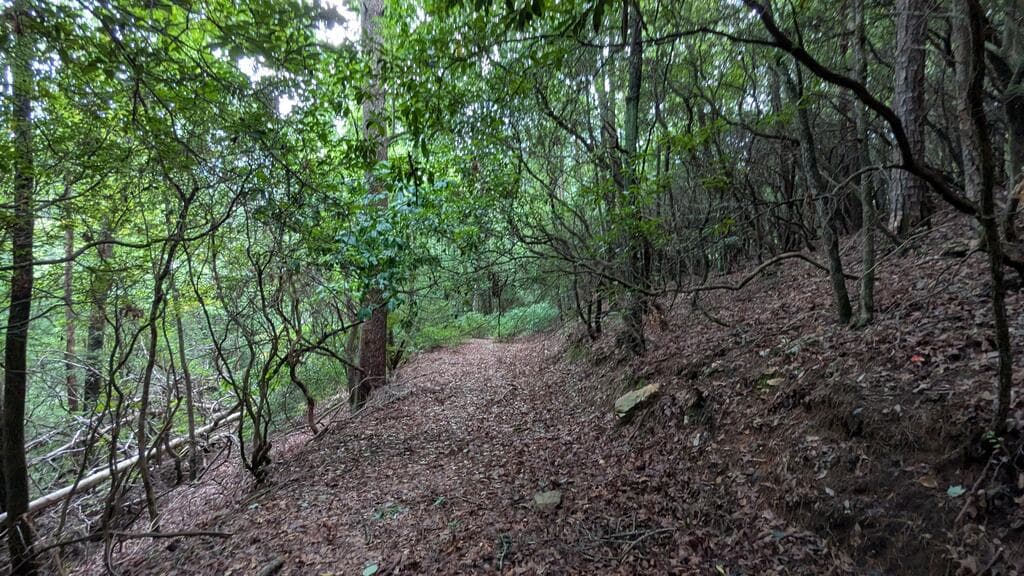 N/A Roy Road, Ellijay GA 30536 - Photo