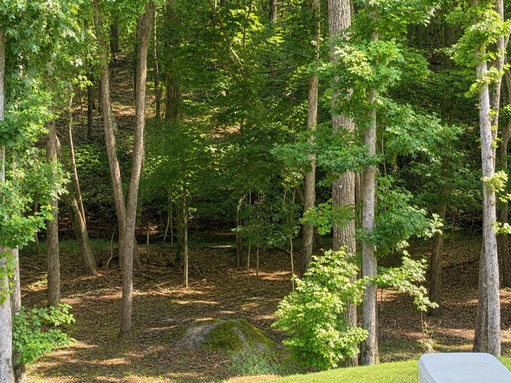 133 Fort Gibson Court, Waleska GA 30183 - Photo