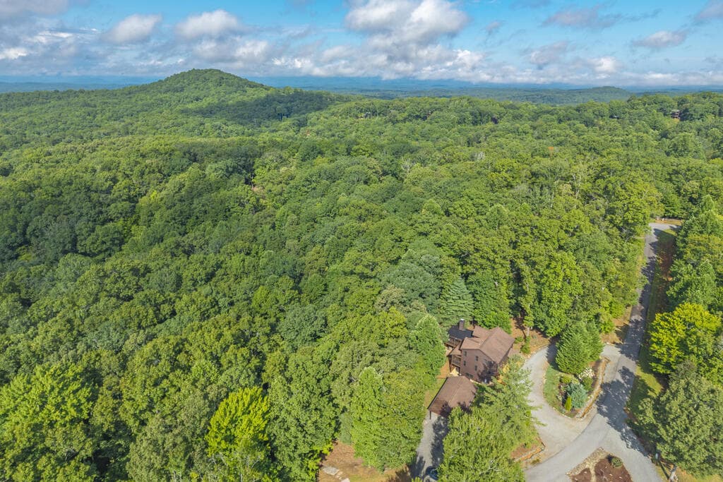 72 Gibbs Trail, Mineral Bluff GA 30559 - Photo