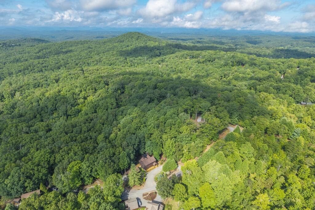 72 Gibbs Trail, Mineral Bluff GA 30559 - Photo