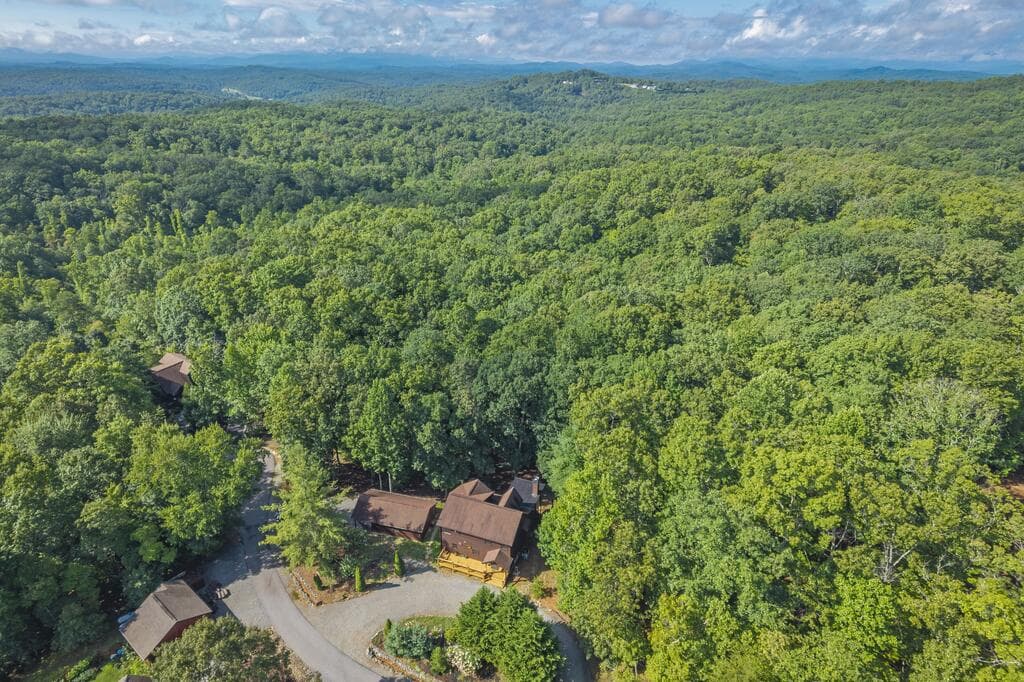 72 Gibbs Trail, Mineral Bluff GA 30559 - Photo