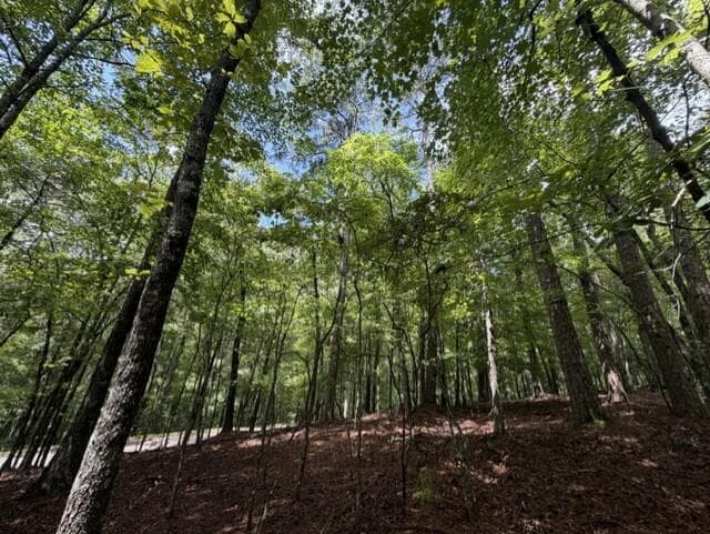0-LT870 Oneida Circle, Ellijay GA 30540 - Photo
