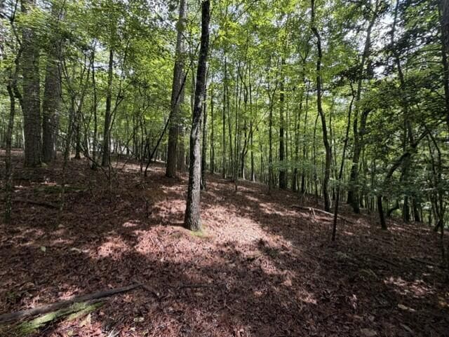 0-LT870 Oneida Circle, Ellijay GA 30540 - Photo