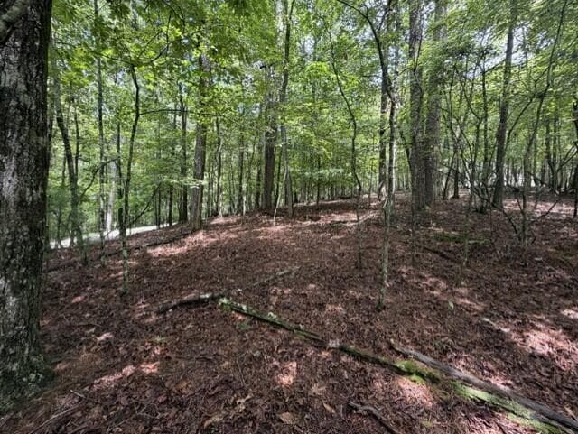 0-LT870 Oneida Circle, Ellijay GA 30540 - Photo