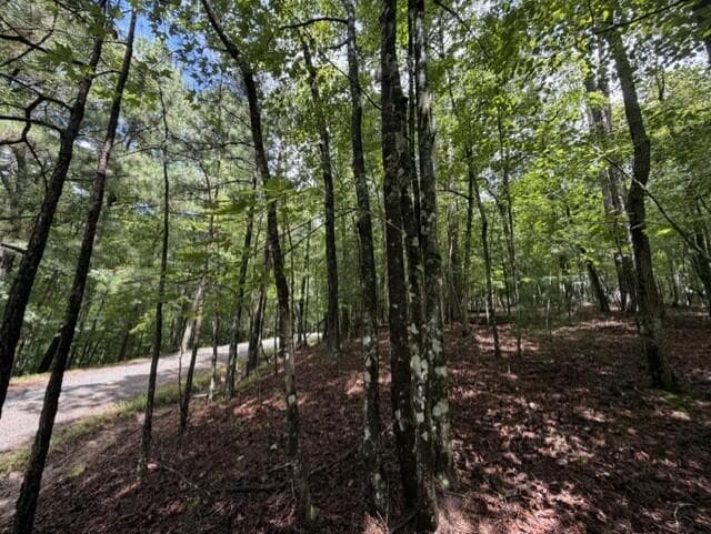 0-LT870 Oneida Circle, Ellijay GA 30540 - Photo
