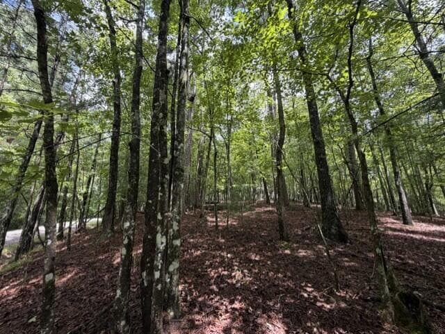 0-LT870 Oneida Circle, Ellijay GA 30540 - Photo