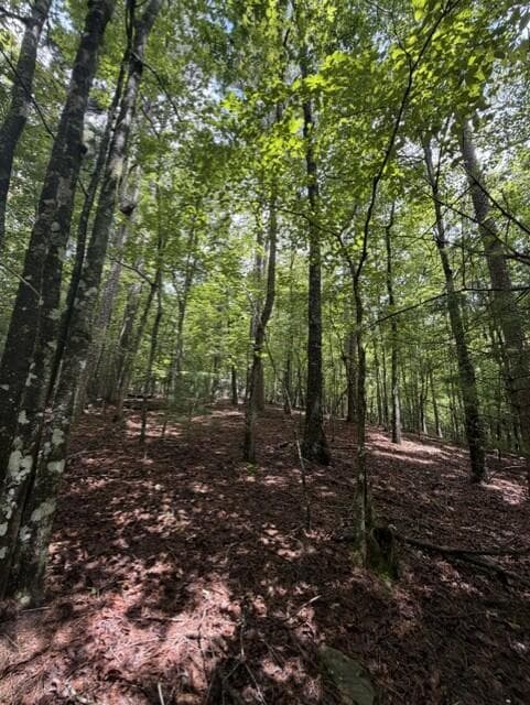 0-LT870 Oneida Circle, Ellijay GA 30540 - Photo