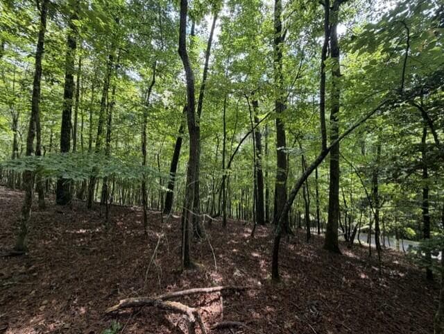 0-LT870 Oneida Circle, Ellijay GA 30540 - Photo