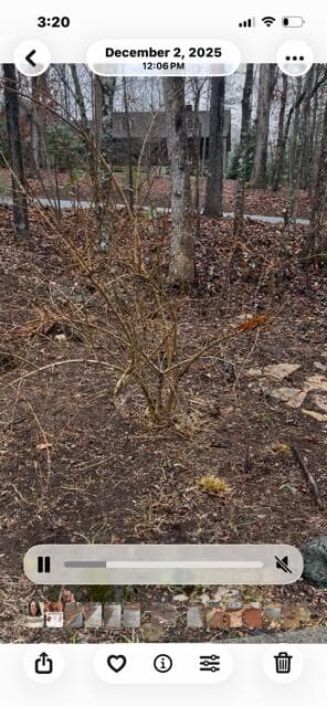 2279 Hy Top Road, Young Harris GA 30582 - Photo
