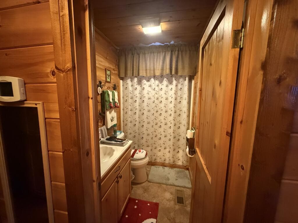 367 Sunrise Valley Road, Blue Ridge GA 30513 - Photo