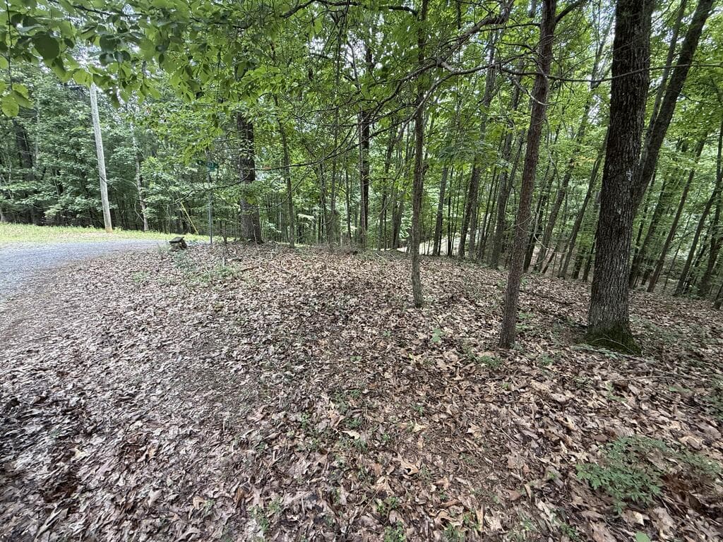 Lot 1065 Mayfield Lane, Ranger GA 30734 - Photo