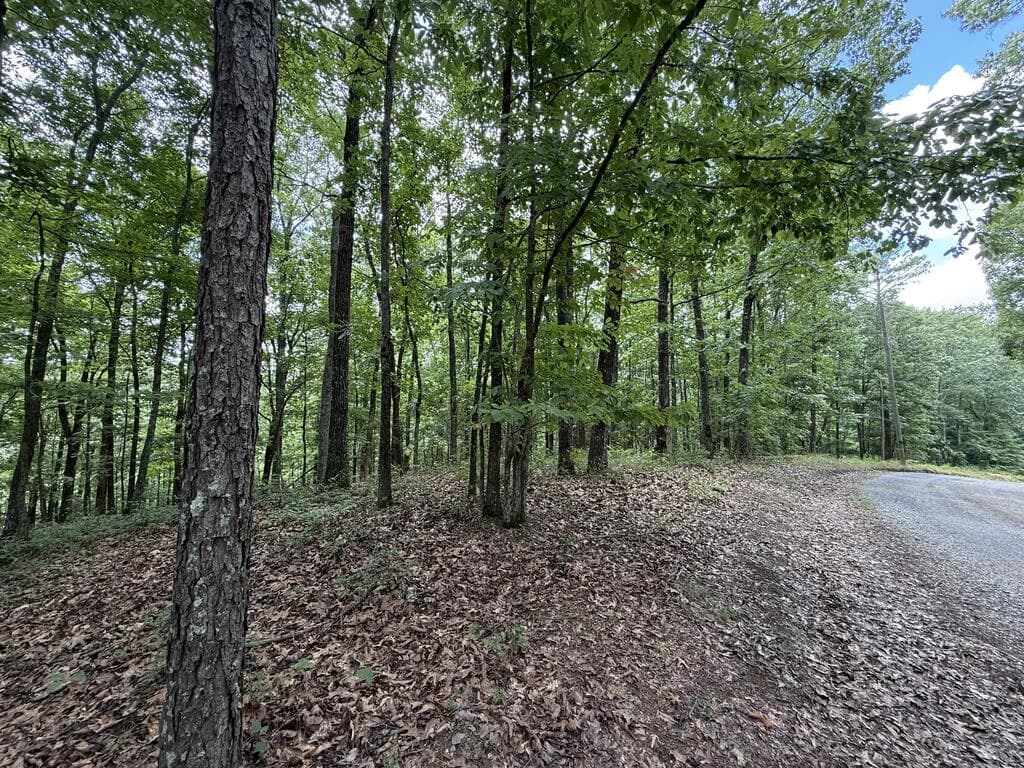 Lot 1065 Mayfield Lane, Ranger GA 30734 - Photo