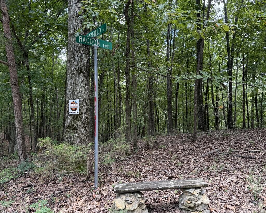 Lot 1065 Mayfield Lane, Ranger GA 30734 - Primary photo