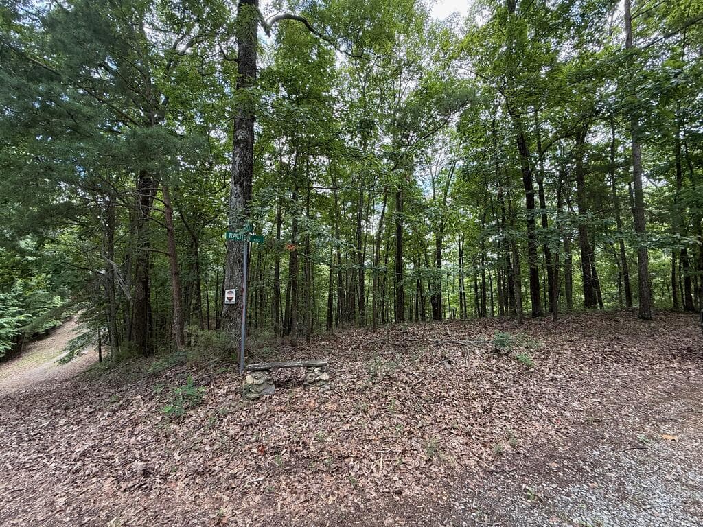 Lot 1065 Mayfield Lane, Ranger GA 30734 - Photo
