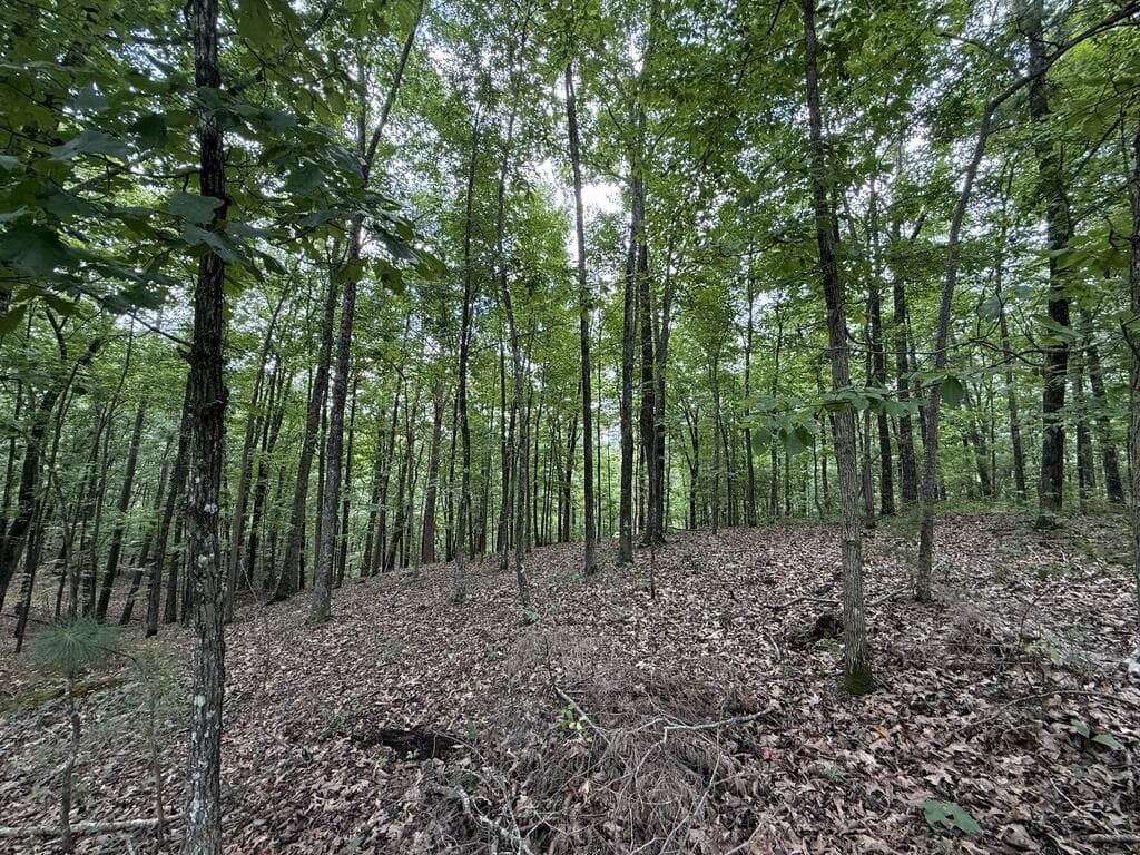 Lot 1065 Mayfield Lane, Ranger GA 30734 - Photo