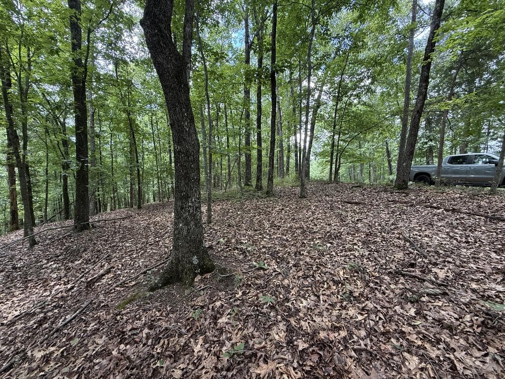 Lot 1065 Mayfield Lane, Ranger GA 30734 - Photo