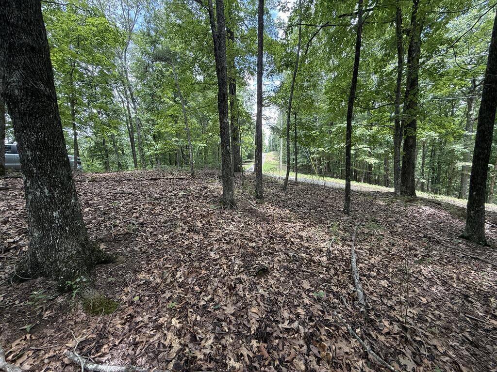 Lot 1065 Mayfield Lane, Ranger GA 30734 - Photo