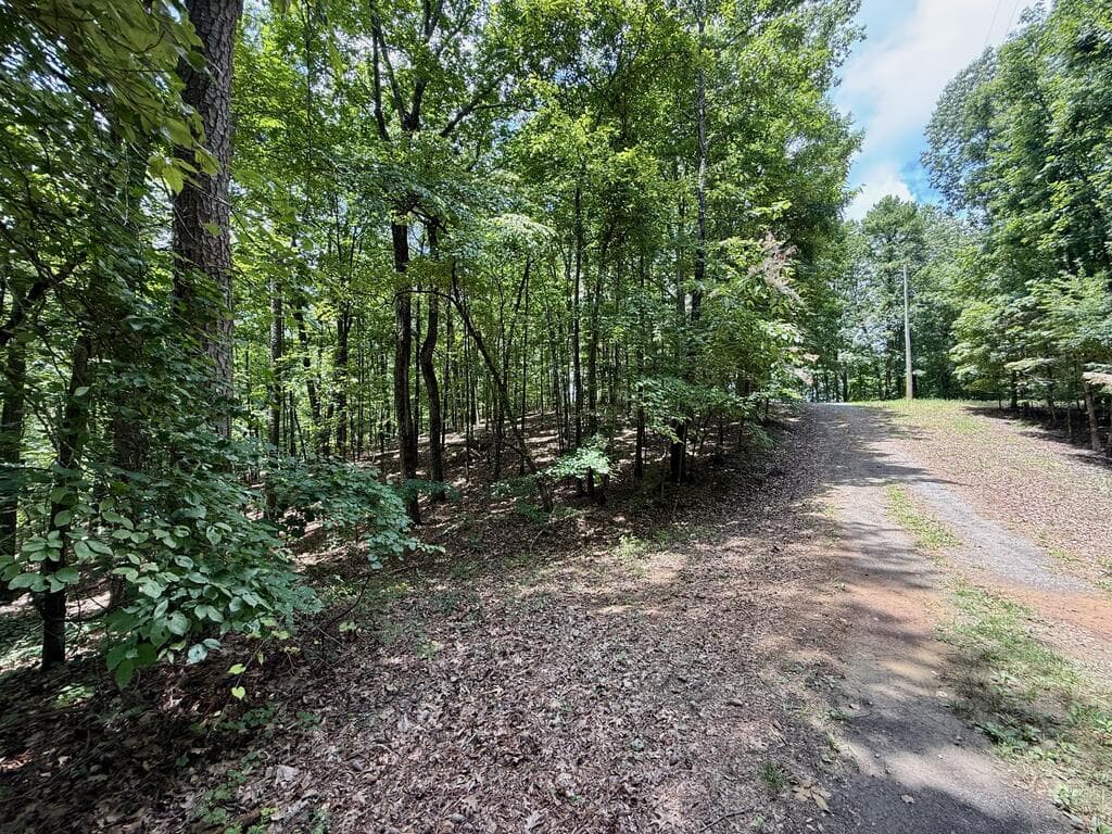 Lot 1065 Mayfield Lane, Ranger GA 30734 - Photo
