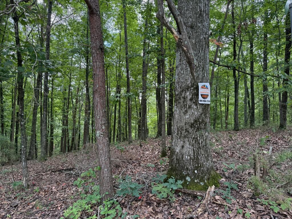 Lot 1065 Mayfield Lane, Ranger GA 30734 - Photo