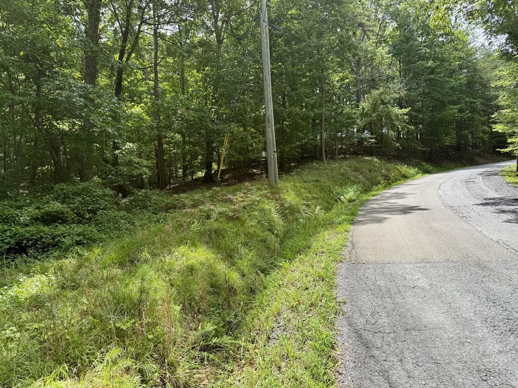 Lot 7 Stirratt Road, Ranger GA 30734 - Photo