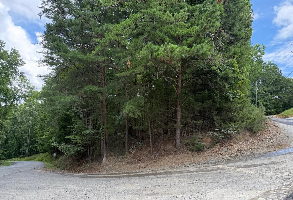 Lot 7 Stirratt Road, Ranger GA 30734 - Photo