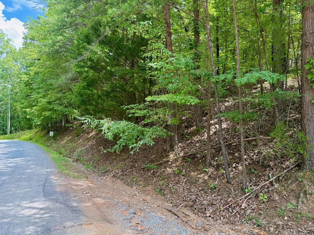 Lot 7 Stirratt Road, Ranger GA 30734 - Photo
