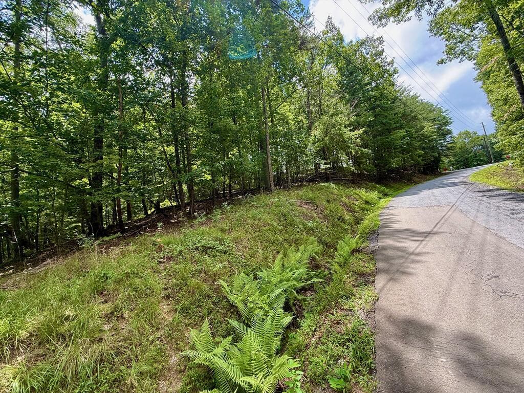 Lot 7 Stirratt Road, Ranger GA 30734 - Primary photo