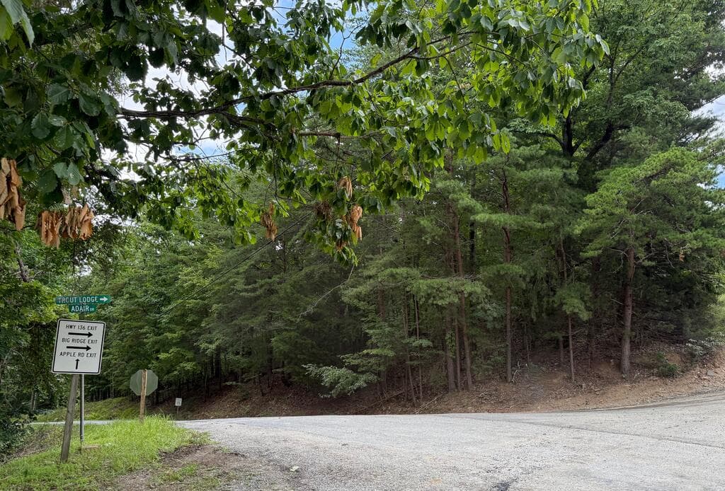 Lot 7 Stirratt Road, Ranger GA 30734 - Photo