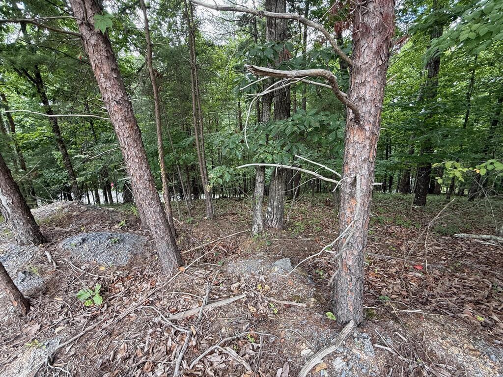 Lot 7 Stirratt Road, Ranger GA 30734 - Photo
