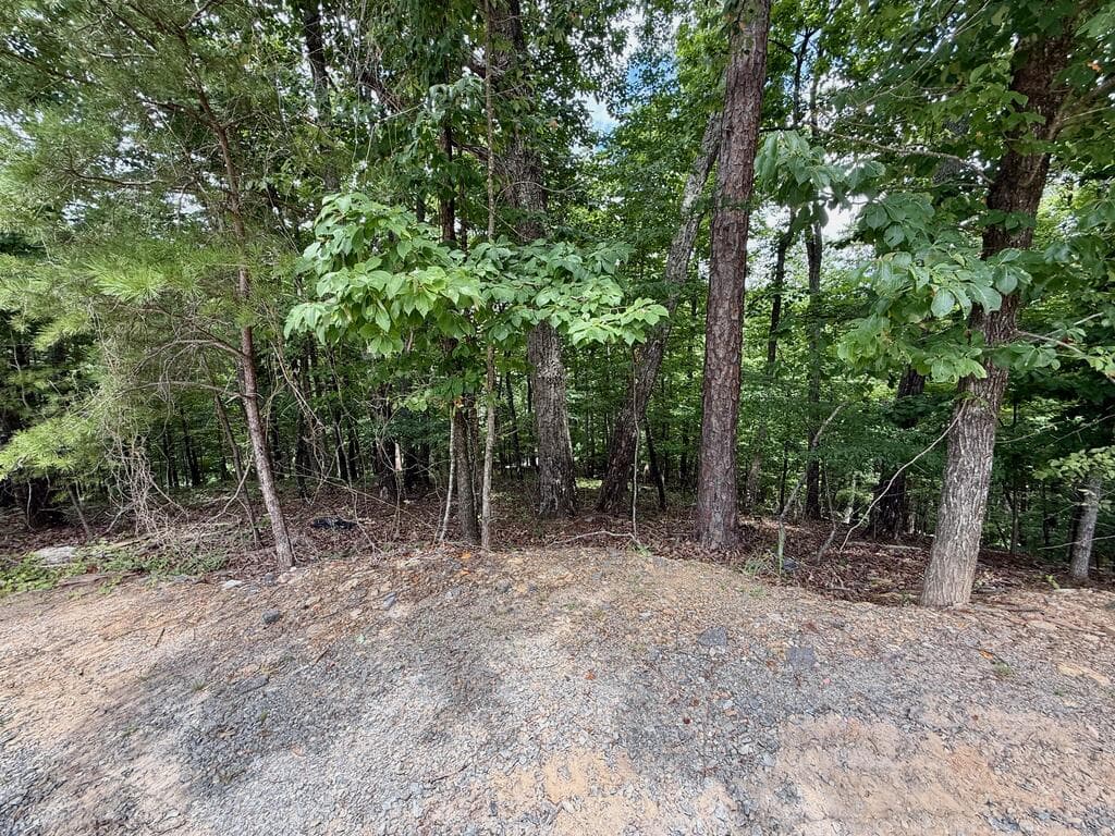 Lot 7 Stirratt Road, Ranger GA 30734 - Photo