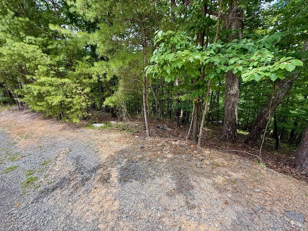 Lot 7 Stirratt Road, Ranger GA 30734 - Photo