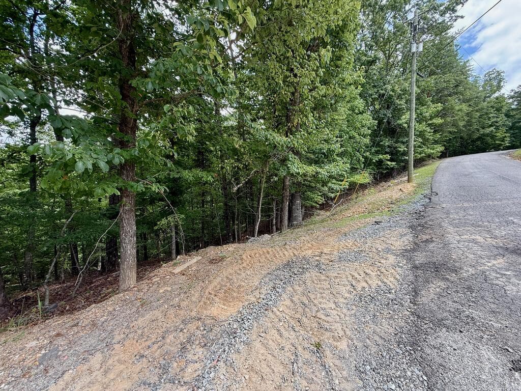 Lot 7 Stirratt Road, Ranger GA 30734 - Photo