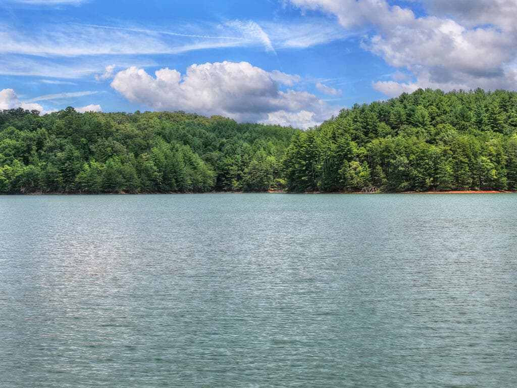 LT 60 Necowa Cove Overlook, Blue Ridge GA 30513 - Photo