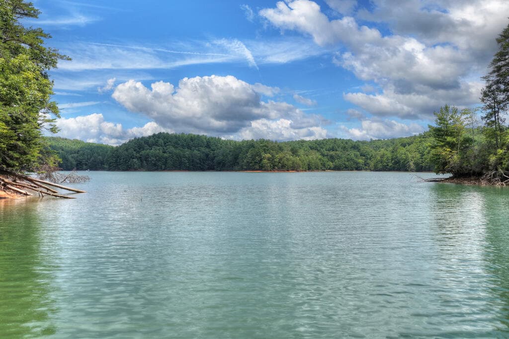 LT 60 Necowa Cove Overlook, Blue Ridge GA 30513 - Photo
