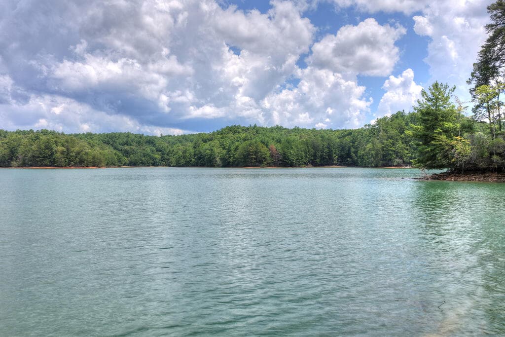 LT 60 Necowa Cove Overlook, Blue Ridge GA 30513 - Photo