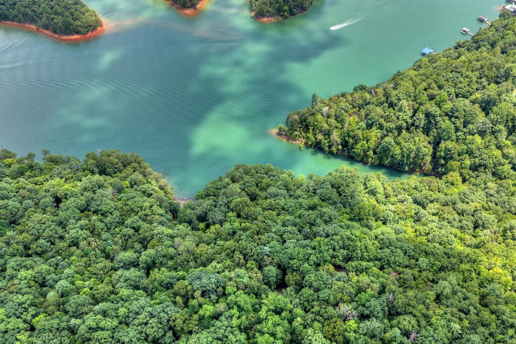 LT 60 Necowa Cove Overlook, Blue Ridge GA 30513 - Photo