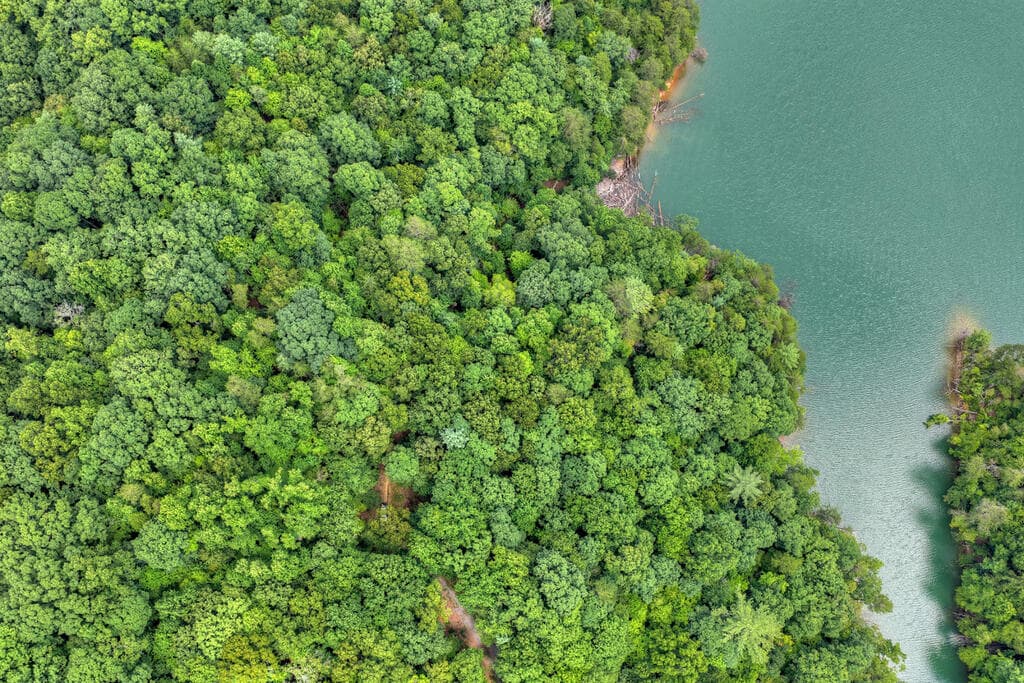 LT 60 Necowa Cove Overlook, Blue Ridge GA 30513 - Photo
