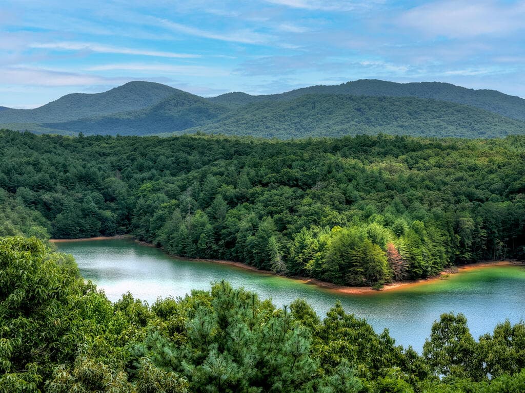 LT 60 Necowa Cove Overlook, Blue Ridge GA 30513 - Photo